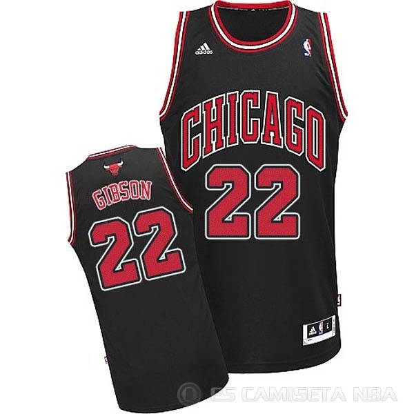 Camiseta Chicago Bulls